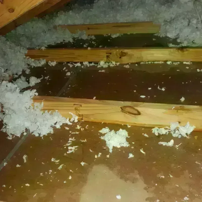 Attic Water Damage in Byhalia, MS