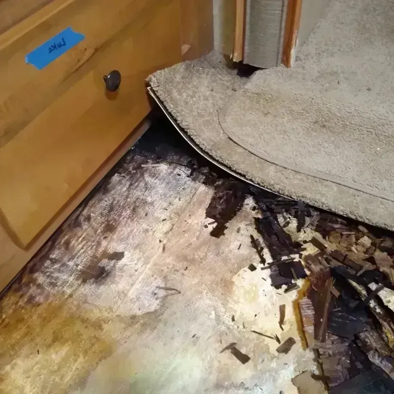 Wood Floor Water Damage in Byhalia, MS